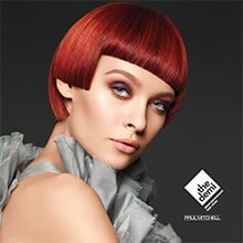 A lip gloss for your hair…….Paul Mitchell THE DEMI