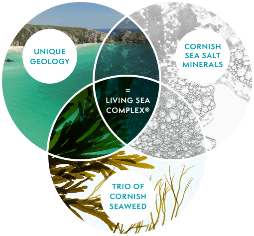 Living sea theraphy at Number 8