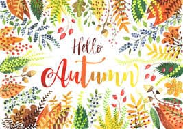Autumnal Hair is in the air